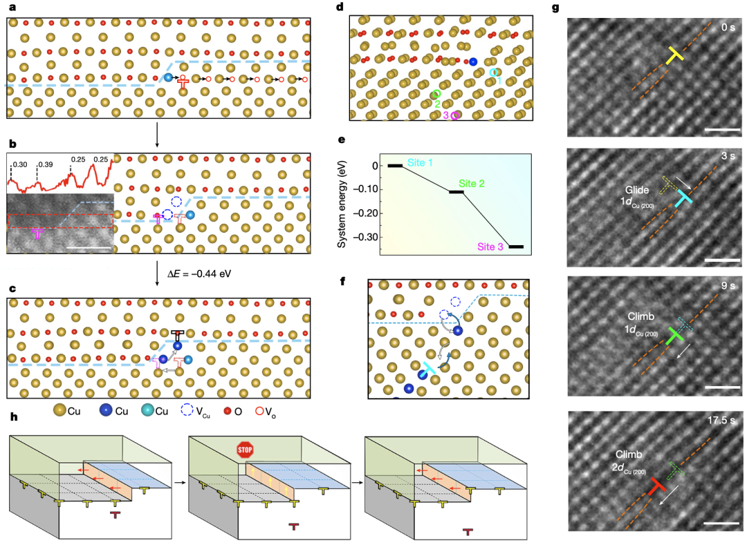顶刊分享：原位TEM解密界面台阶流动的间歇性机制
