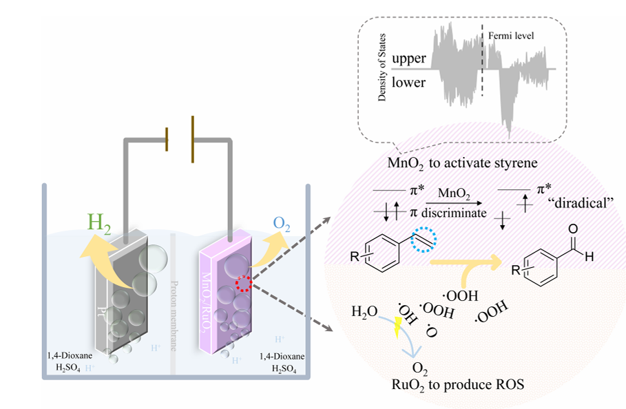 什么是界面调控？从掺杂/应变/异质结/空位到光催化与热传导的应用解析