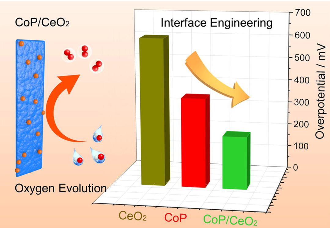 ​材料的表界面氧空位：结构本质与功能特性
