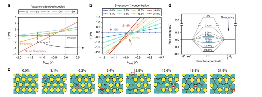 硫空位（SV）的定义、结构、构筑策略、表征以及若干应用的介绍