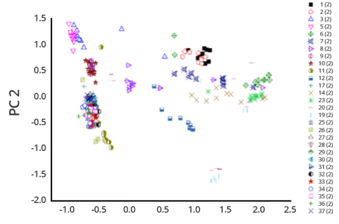 顶刊利器：飞行时间二次离子质谱（TOF-SIMS）的基本内容与应用