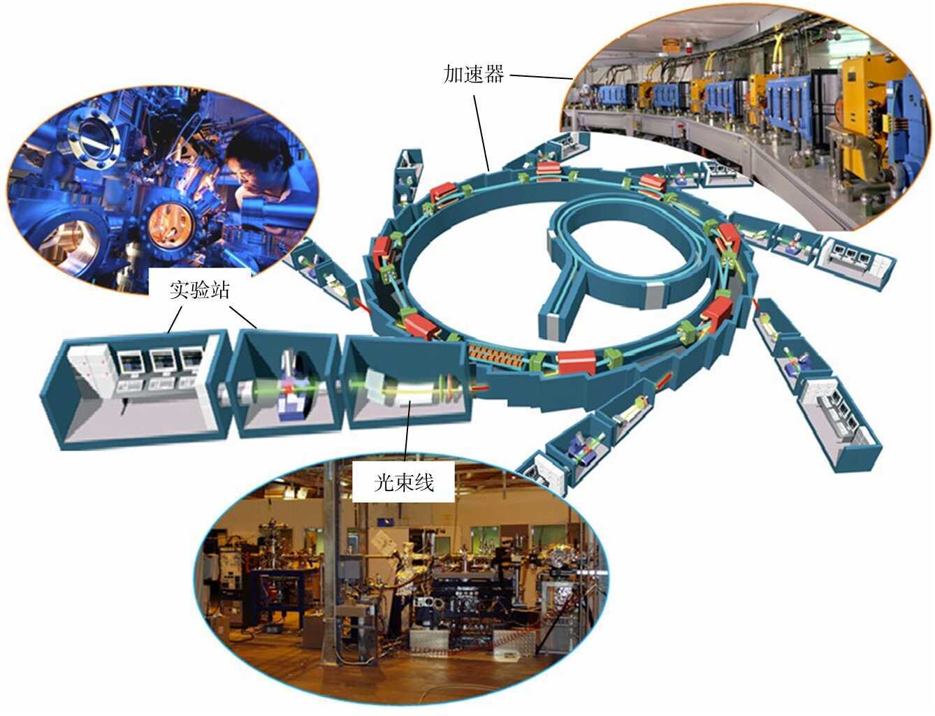 吸收谱与生物样本：洞察生命奥秘的光之钥匙