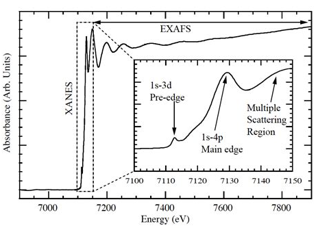 同步辐射技术在生态毒理学中的应用