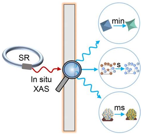 微生物与矿物相互作用的原位观测