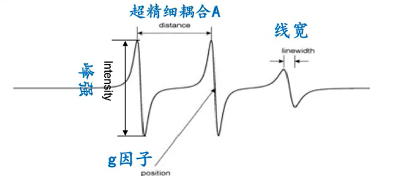 电子顺磁共振（EPR）的原理及应用