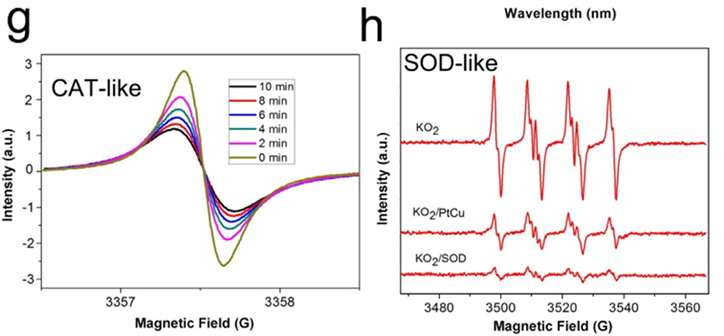 电子顺磁共振（EPR）的原理及应用