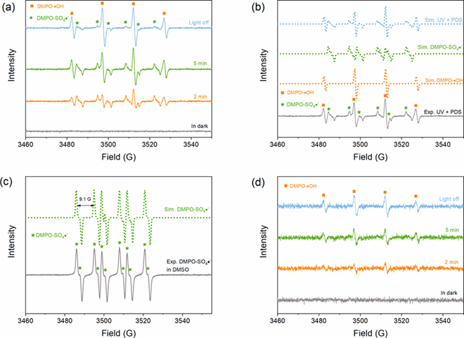 电子顺磁共振（EPR）的原理及应用