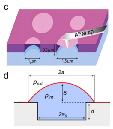 晶格畸变 VS 晶格应变