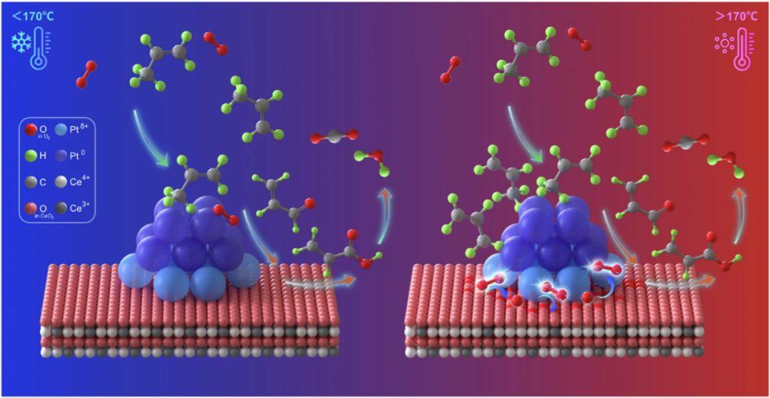 突破传统表征局限！同步辐射如何与原位Raman、DRIFTS联用？