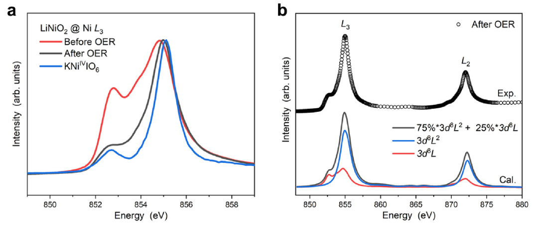 同步辐射XAS/SR-XRD/soft-XAS如何应用于能源催化研究！