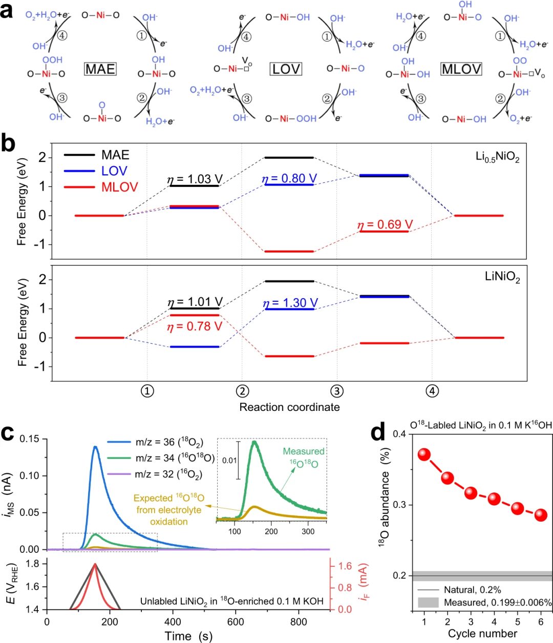 同步辐射XAS/SR-XRD/soft-XAS如何应用于能源催化研究！
