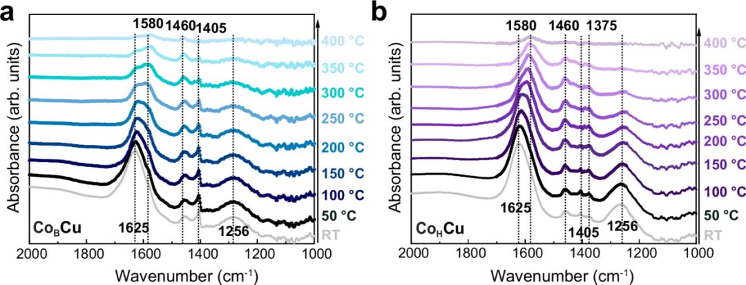 同步辐射如何破解催化中的原子谜题？