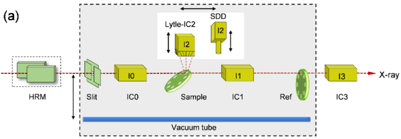 同步辐射XAS数据处理标准流程指南（补充版）