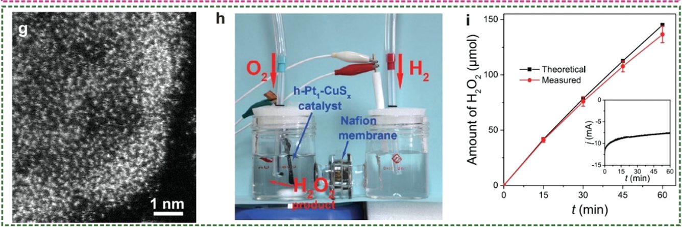 单原子催化剂的介绍和应用
