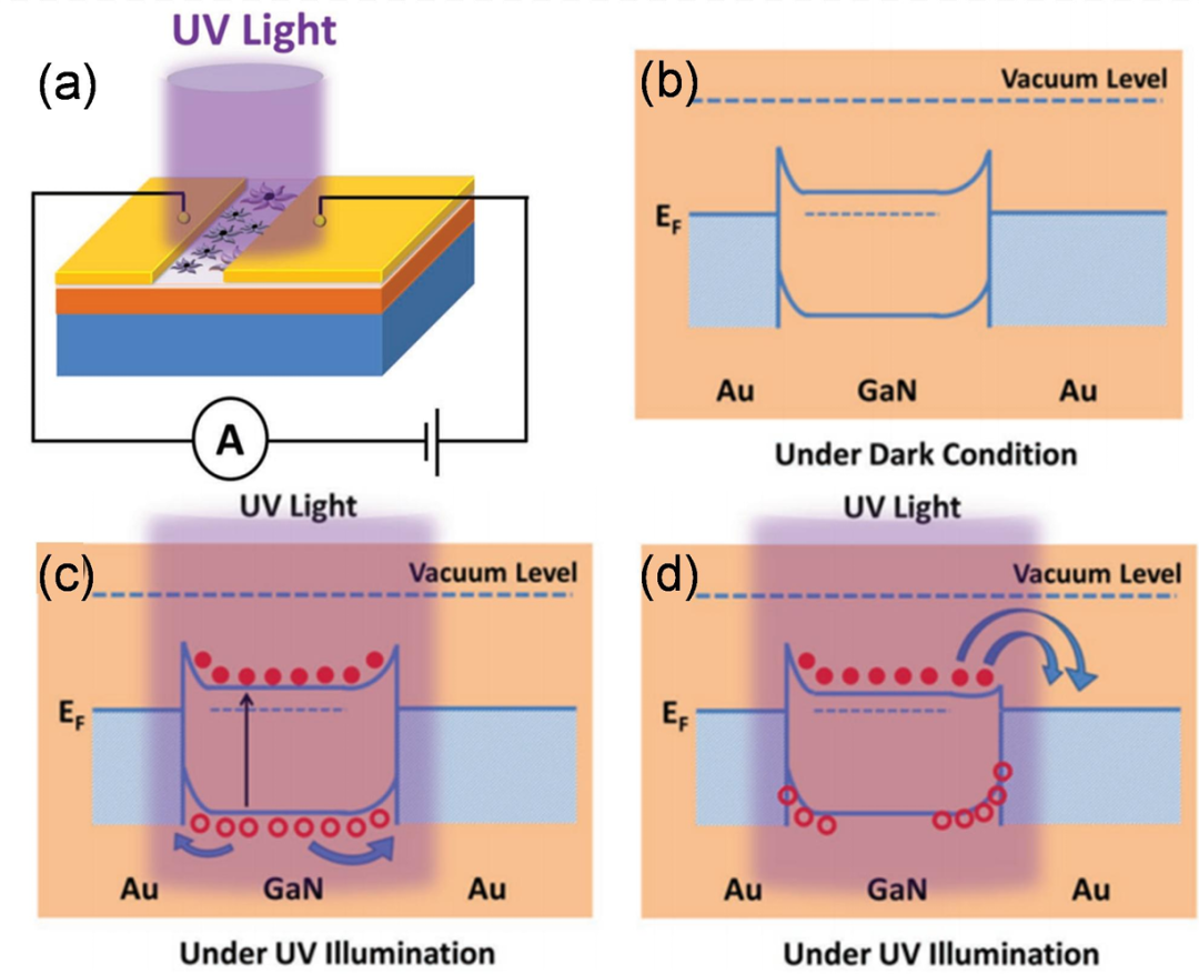 肖特基势垒理论：基于Schottky-Mott模型的界面势垒高度解析