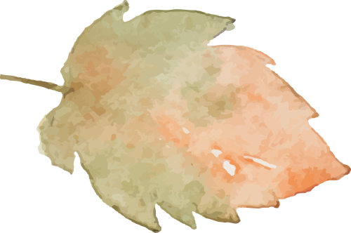 BET 数据分析处理及常见问题解答