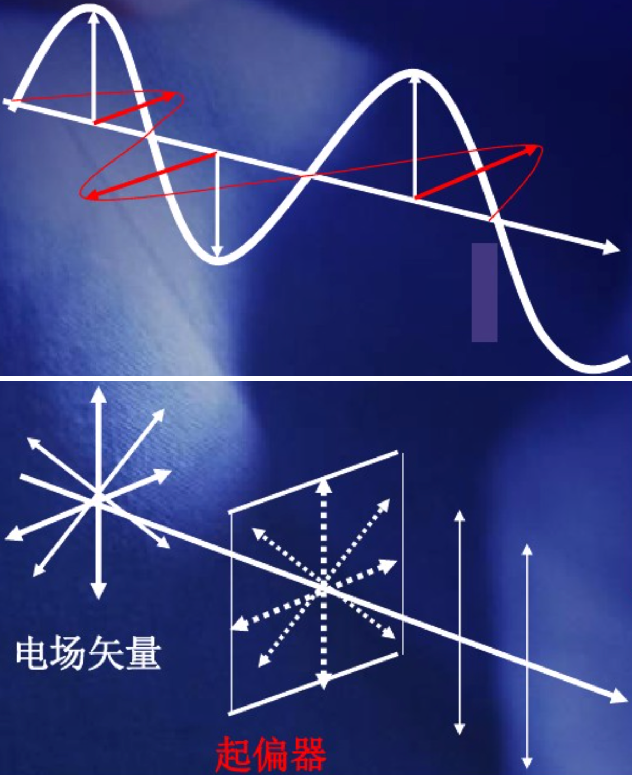 解锁分子结构密码：圆二色谱法的分析应用