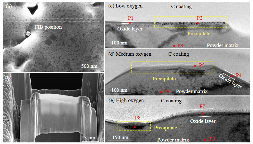 TEM 样品制备核心技术：FIB 原理、加工流程（定位 / 减薄 / 提取）与损伤控制