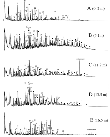 成分分析技术——气相色谱-质谱 GC-MS 联用（四）