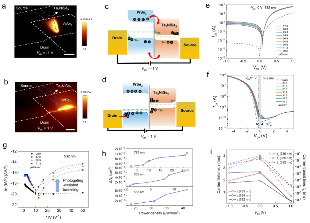 电荷转移全解析：定义、分类、机制与表征技术（含 DFT/XPS 等方法）