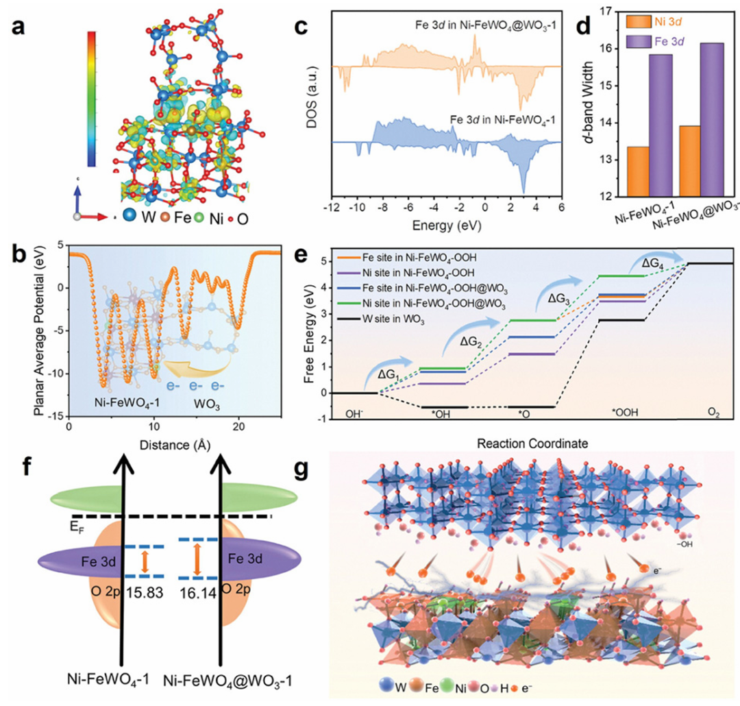 内建电场赋能多反应体系：形成机制、表征方法及应用解析