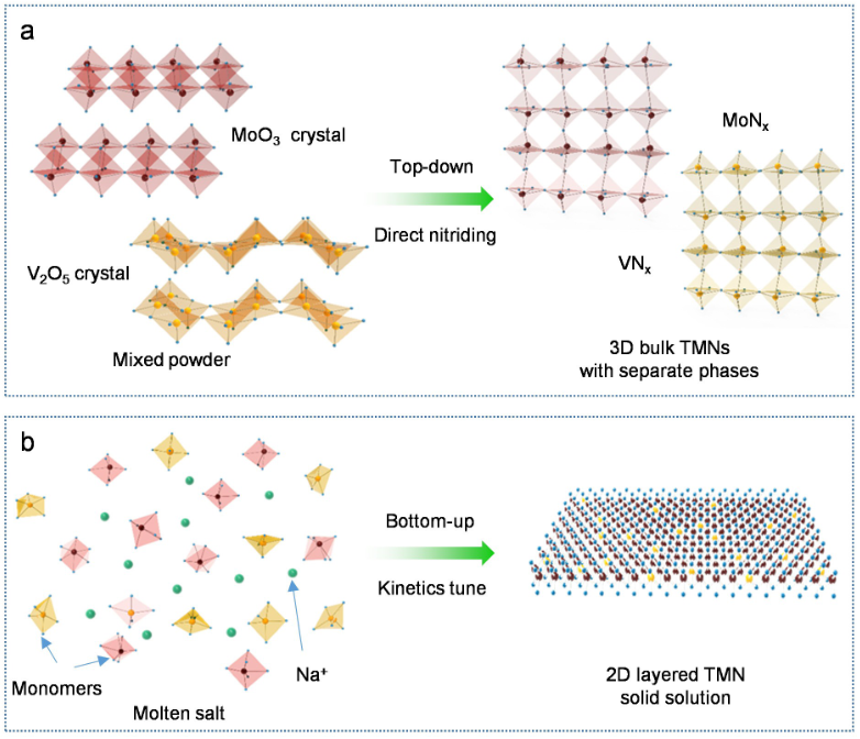 固溶体全解析：概念、分类（置换 / 间隙 / 混合型）、形成原理与核心性质