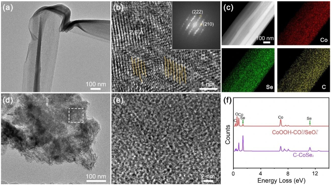 材料表面缺陷谱系与成因探析：多模态表征技术的原理与应用对比