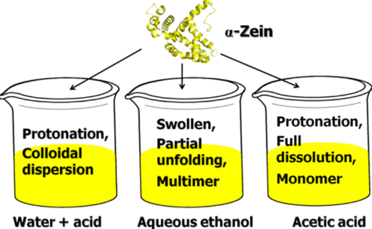 解析蛋白质结构的三大技术
