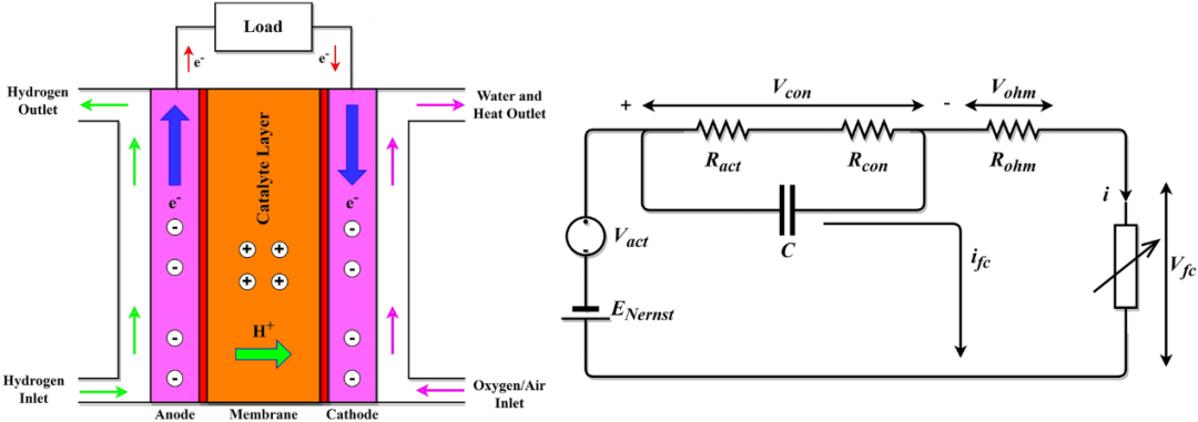 基于“新三传”视角，全面解析电子、质子与分子传递机制及其耦合效应