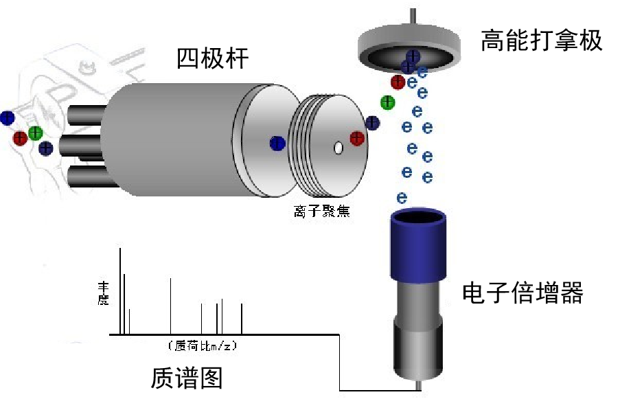 成分分析技术——气相色谱-质谱 GC-MS 联用（一）
