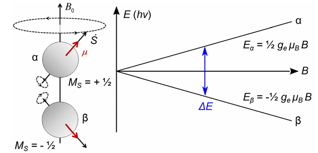 从原理到实操：一文读懂 EPR（电子顺磁共振）的核心逻辑与谱图解读技巧