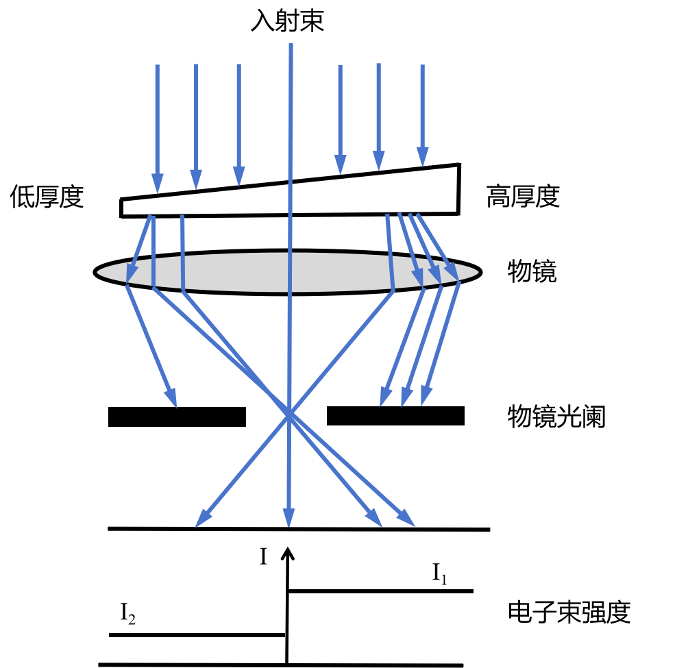 小课堂 | 常做的透射电镜你了解吗？(二）