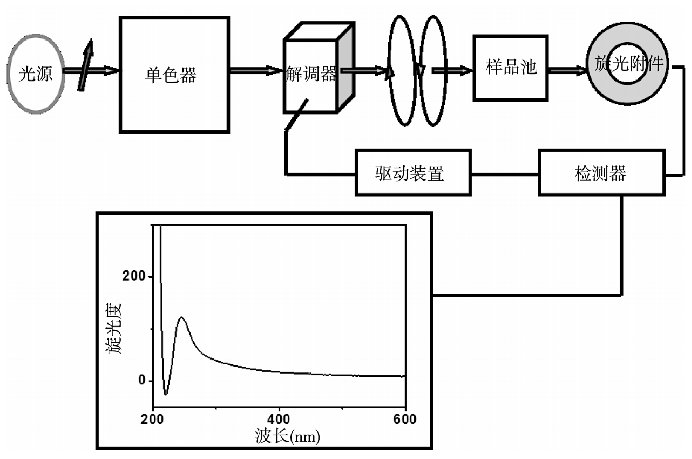 解锁分子结构密码：圆二色谱法的分析应用