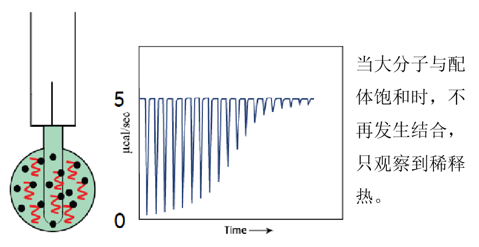 等温滴定量热法（ITC）：探究分子间相互作用