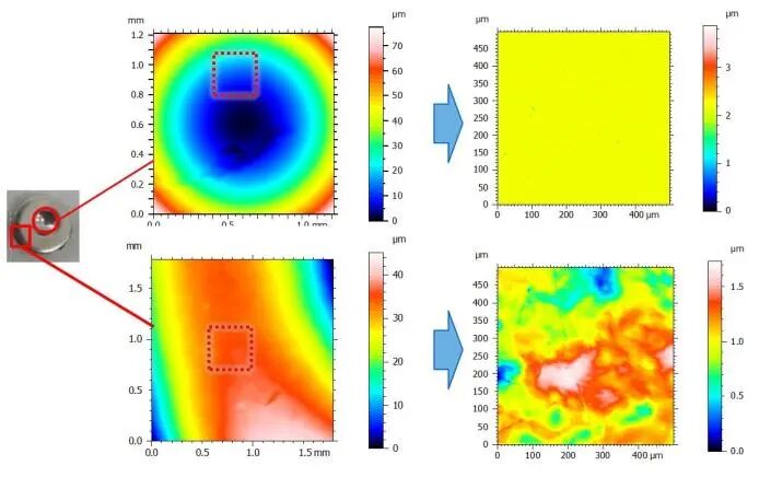激光共聚焦显微镜（二）功能及应用领域