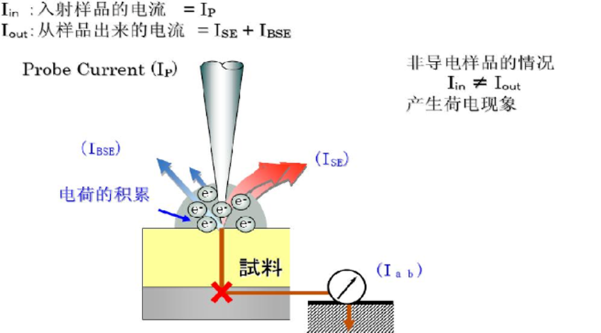 别让荷电效应毁了电镜图！非金属/高分子样品的救场指南
