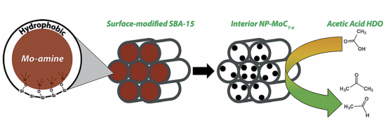 孔道限域效应：定义、核心机制及多领域应用实践