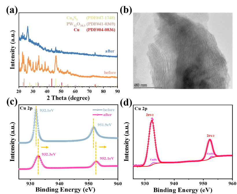 活性位点：定义、公式与表征方法全解析