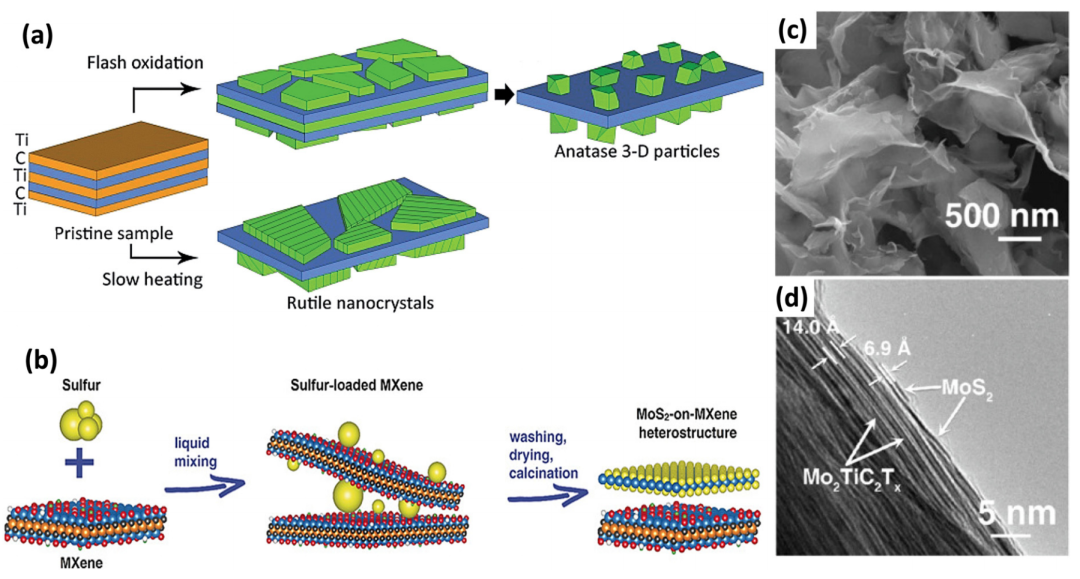 什么是活性位点？
