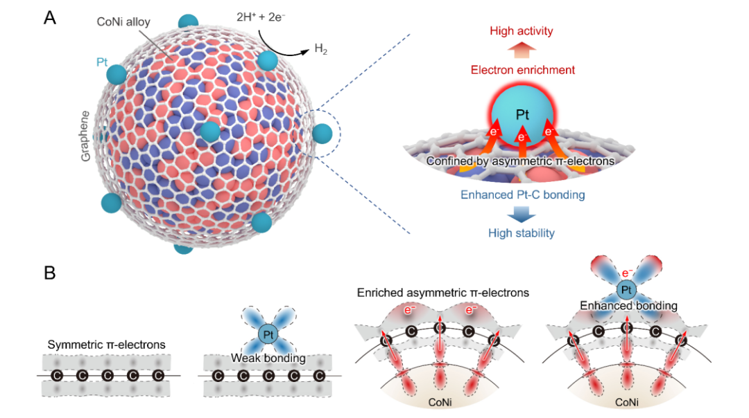 限域效应与界面效应的对比研究：机制、应用及材料催化中的协同作用