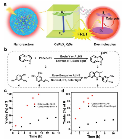 孔道限域效应：定义、核心机制及多领域应用实践