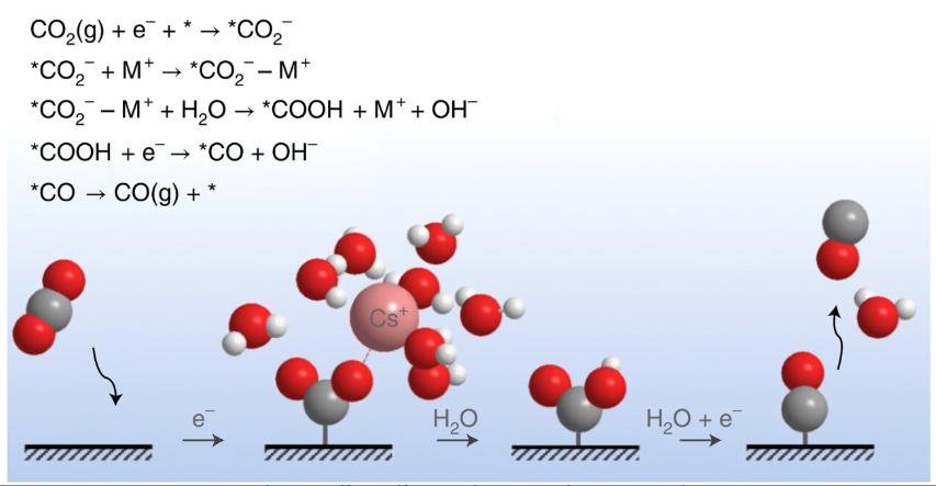 阳离子效应的系统解析：定义分类、多维作用机制及其对反应活性与选择性的分子调控