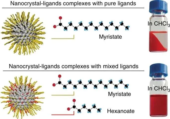 固体核磁技术在各领域研究中的应用