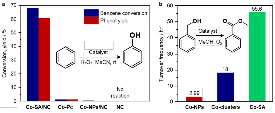 电催化活性位点全解析：定义、表现形式（单原子/缺陷/界面等）、量化方法（ECSA/TOF）及催化作用