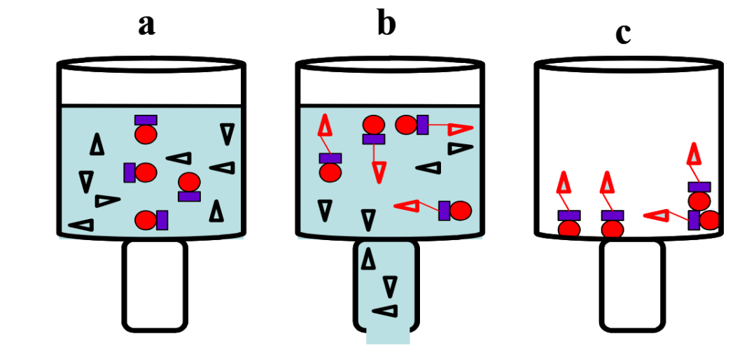 晶相工程：概念、调控策略及其在催化性能优化中的应用