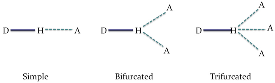 氢键如何影响化学性质？基于热力学稳定性与动力学活性的综合分析