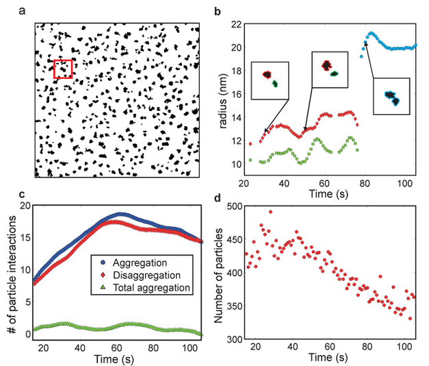 纳米颗粒：定义、团聚/分散机制及表征策略
