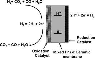 基于“新三传”视角，全面解析电子、质子与分子传递机制及其耦合效应