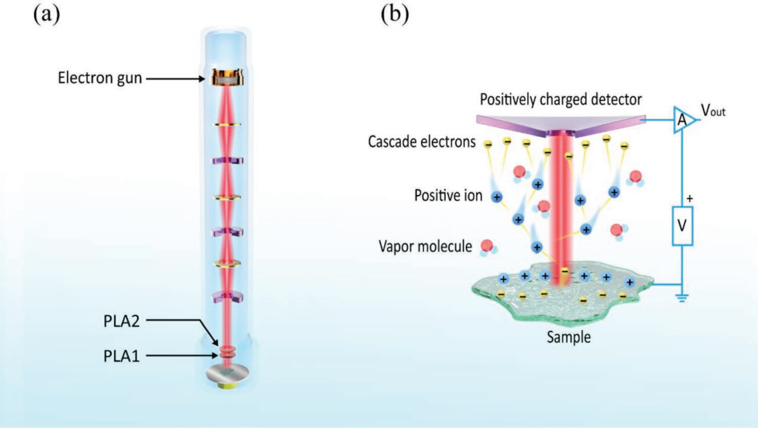 五大电镜测试技术总结！SEM、TEM、ESEM、EDS、EBSD