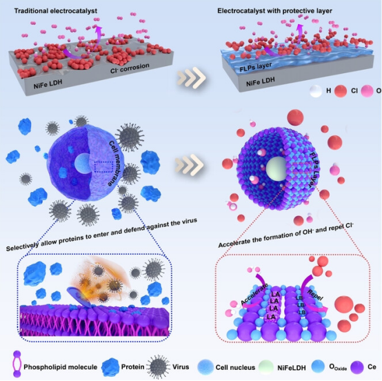 软硬酸碱理论全解：定义、规律、应用及优劣势分析